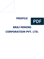 Project Profile - BRAJ Mining