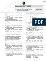 Practice Sheet Anatomy of Flowering Plants NEET Expected Questions