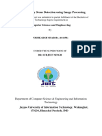 Kidney Stone Detection Using Image Processing