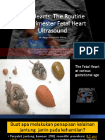 Fetal Heart 2024