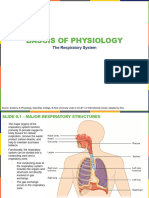 The Respiratory System - Presentation