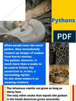 Pythons