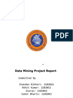 Data Mining Report