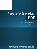 3 Female Genital Tract