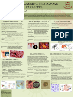 Disease Causing Protozoan Parasites