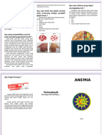 23 - 3 - Riana (Leaflet Anemia)