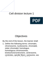 Cell Division 1