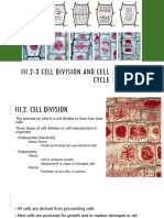 Cell Cycle