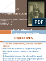 1 - Anatomy of Pituitary Gland