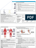 Year 10 Term 1 Skeletal and Muscular System