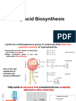 Fatty Acid Biosyntehsis