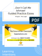 Guided Practice Essay