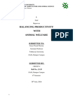 Balancing Productivity With Animal Welfare