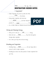 Kami Export - Jadarius Tymes - Cellular Respiration Guided Notesmfd