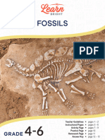 Fossils