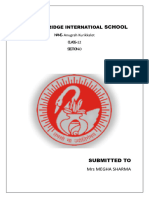 Ip Project (Prototype-1)