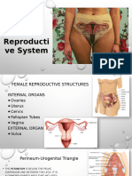 Female Reproductive System PowerPoint