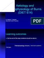 Aetiology and Pathogenesis of Burns