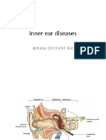 Inner Ear