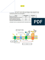 Unit Test