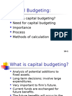 Capital Budgeting 4