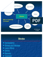 StrokeConceptMap 2