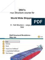 06 - DNVs Hull STR For WW - Hull STR - Cargo Area - Side