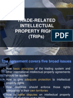 Trade-Related Intellectual Property Rights (Trips)