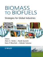 Biomass to Biofuels: Strategies for Global Industries