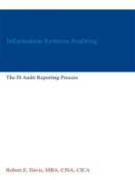 Information Systems Auditing: The IS Audit Reporting Process: Information Systems Auditing, #4