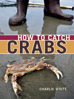 How to Catch Crabs: A Pacific Coast Guide