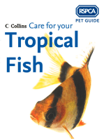 Care for your Tropical Fish