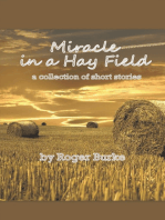 Miracle in a Hay Field: A Collection of Short Stories