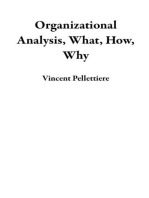 Organizational Analysis, What, How, Why