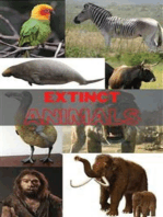 Extinct Animals