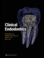 Clinical Endodontics