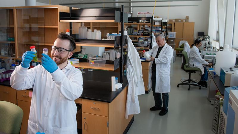 People working in a lab at the Verschuren Centre