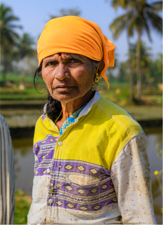  Elderly Indian woman in a patterned shirt and a yellow headscarf.