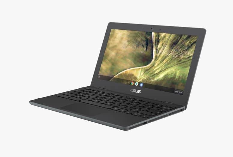 Asus Chromebook C204MA