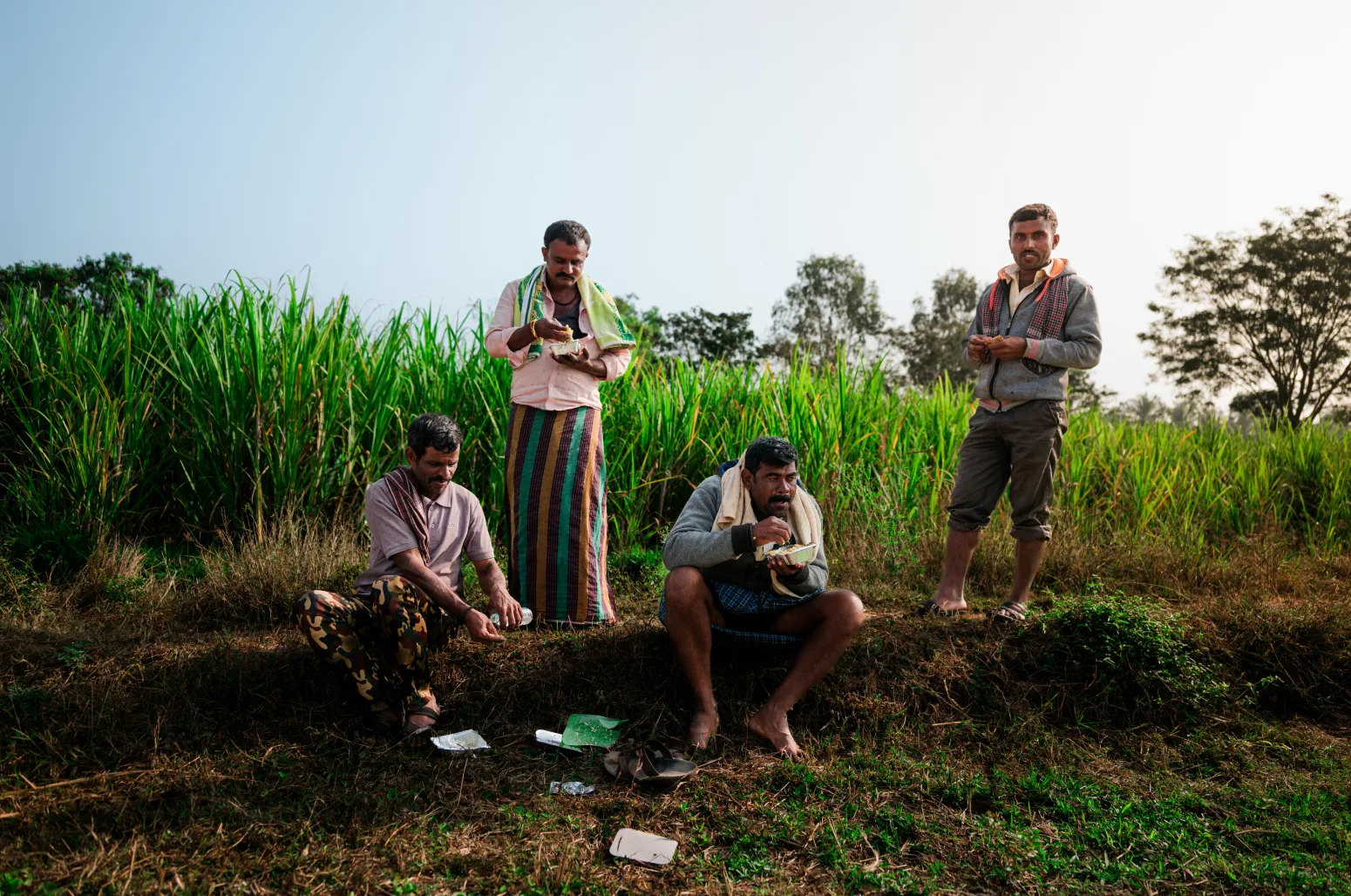  Four men enjoying a meal in rural India in front of tall green grass.