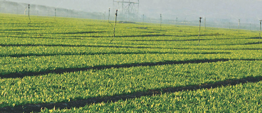 jain-irrigation-systems-hero-image