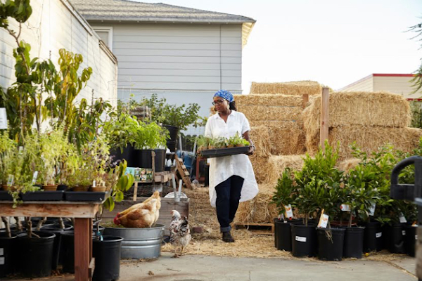 A woman working in her plant nursery business.