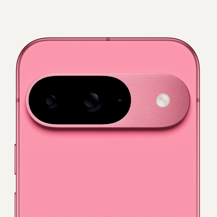 Close-up of the back of a Pixel 9 in Peony colour.