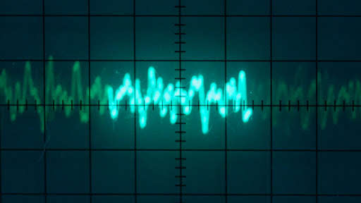 A waveform of a whale call