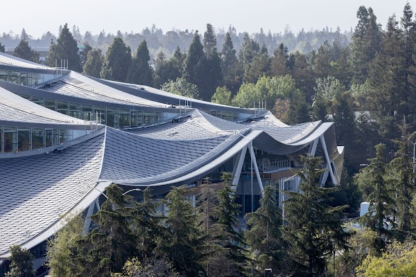 Gradient Canopy building surrounded by trees.