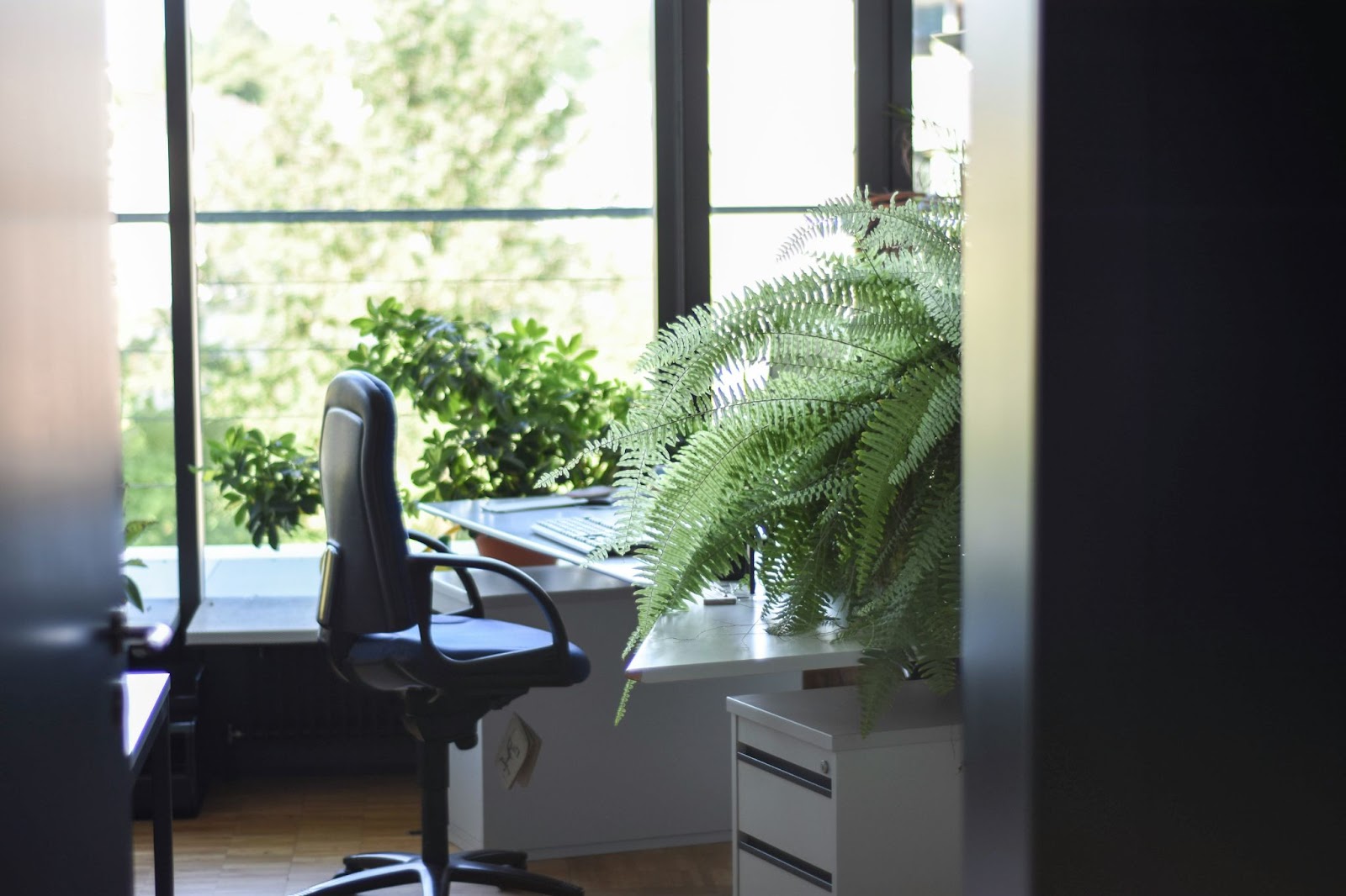 Black chair next to a white desk in an interactive office space