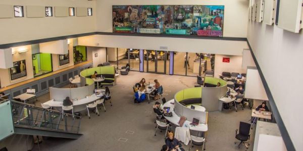 Group area of Health Sciences Library