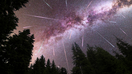 A time lapse photo of a meteor shower in the night sky in a forested area