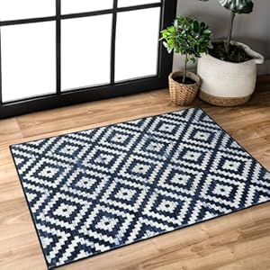 Lahome Boho Moroccan Throw Rug 2x3 Small Rugs for Entryway Black and White Kitchen Rugs, Trellis Non Slip Low Pile Stain Resistant Printed Indoor Floor Entry Rugs for Bathroom Sink Front Doo