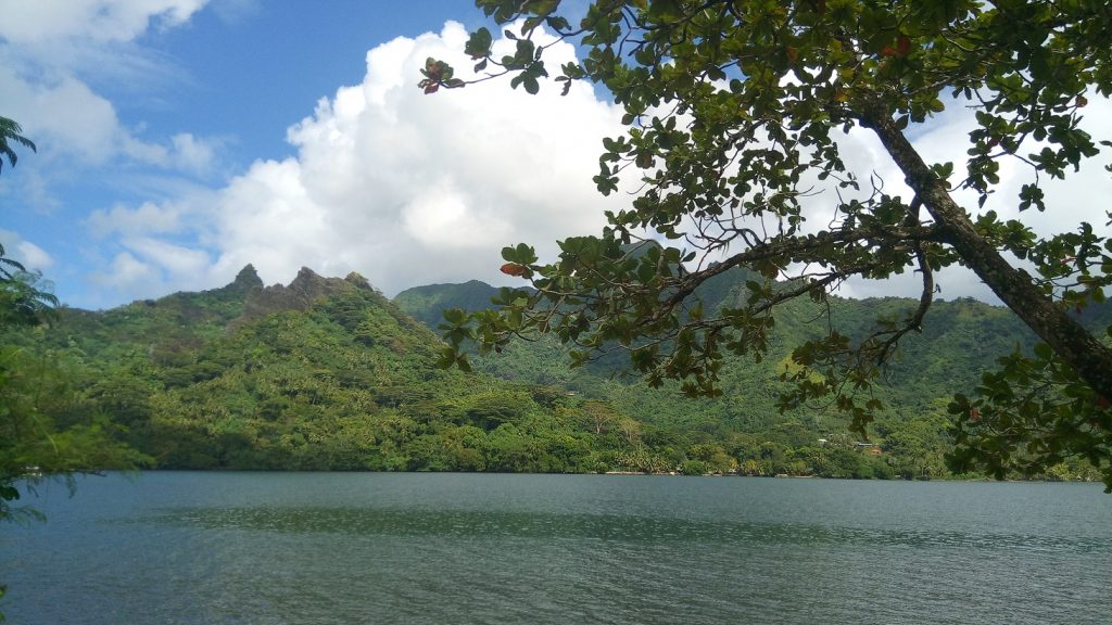 Article : Hinano, la plus belle des Polynésiennes